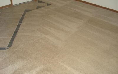 Precisely How Often should Carpet Cleaning Be Done in Lawrence and Topeka Kansas?