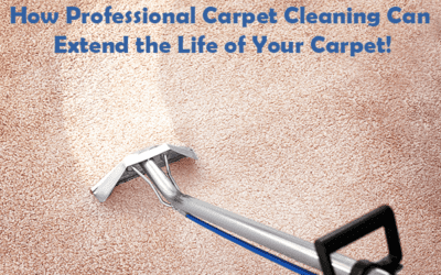 How Professional Carpet Cleaning Can Extend the Life of Your Carpet