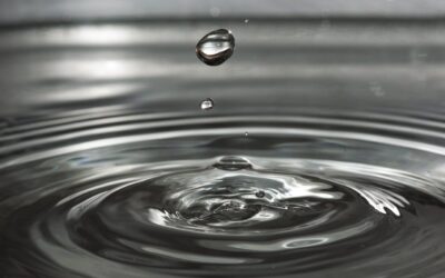 What Do You Do After a Water Leak?